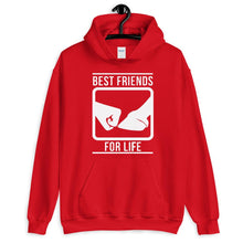 Görseli Galeri görüntüleyiciye yükleyin, Best friends for Life Unisex Hoodie - HorseObox