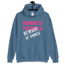 将图片加载到图库查看器,Beware of Owner Unisex Hoodie - HorseObox