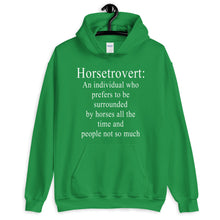Load image into Gallery viewer, Horsetrovert Unisex Hoodie