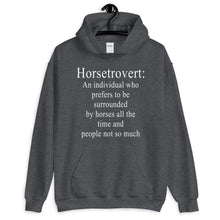 Load image into Gallery viewer, Horsetrovert Unisex Hoodie